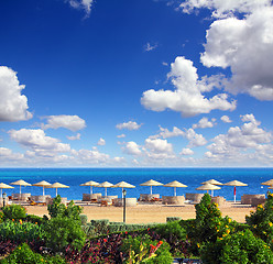 Image showing tropical beach and Red Sea