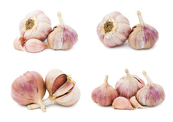 Image showing Garlic