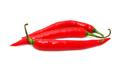 Image showing Hot chili pepper