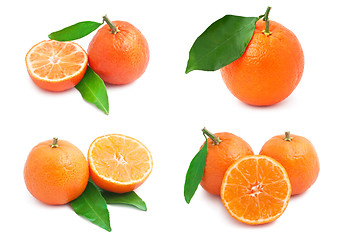 Image showing Mandarins