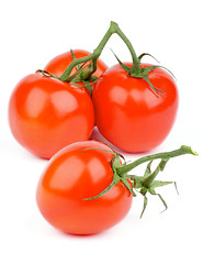 Image showing Ripe Tomatoes