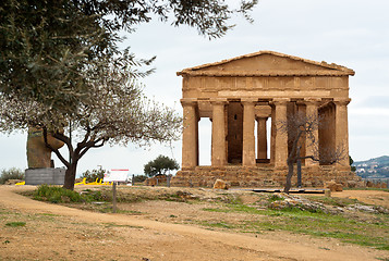 Image showing The ruins of Temple of Concordia, Agrigento