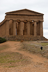 Image showing The ruins of Temple of Concordia, Agrigento