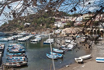 Image showing harbour in Ustica island, Sicily