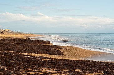 Image showing Beach of San Leone, Sicily