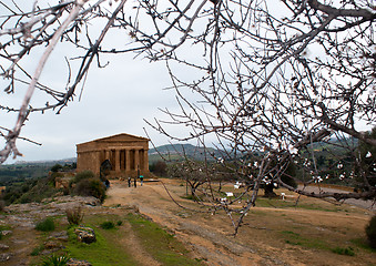 Image showing The ruins of Temple of Concordia, Agrigento