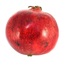 Image showing Large red fruit pomegranate