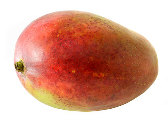 Image showing Large mango fruit on white background