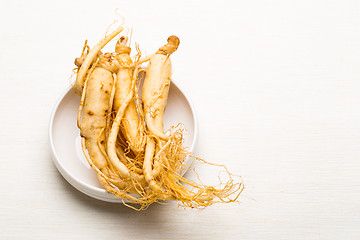 Image showing Fresh Ginseng sticks