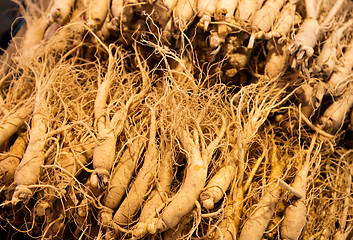 Image showing Fresh ginseng in food market