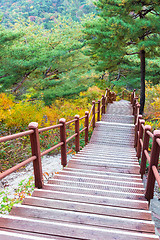 Image showing Wooden steps in forest