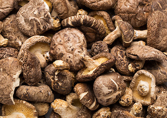 Image showing Dried mushrooms