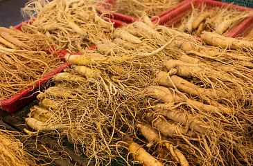 Image showing Fresh ginseng