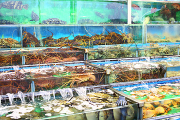 Image showing Seafood market fish tank in Hong Kong