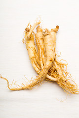 Image showing Fresh Ginseng isolated on white