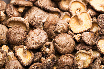 Image showing Heap of the dried mushrooms