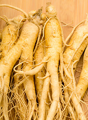 Image showing Fresh Ginseng