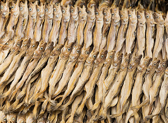 Image showing Dry salty fish