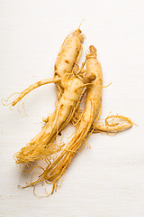 Image showing Fresh Ginseng over the white background