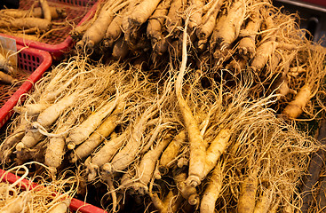 Image showing Fresh ginseng in food market