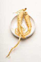 Image showing Fresh Ginseng in the bowl