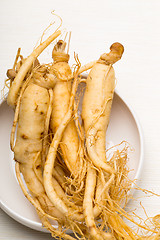 Image showing Fresh Ginseng