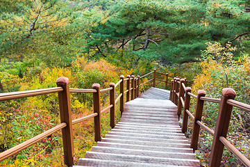 Image showing Wooden hiking path in forest
