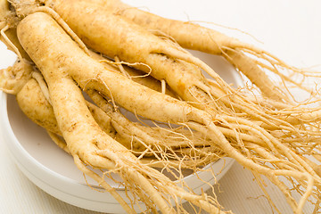 Image showing Fresh Ginseng texture