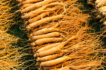 Image showing Fresh ginseng in food market