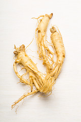 Image showing Fresh Ginseng