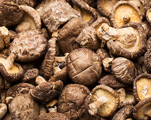 Image showing Dried mushrooms