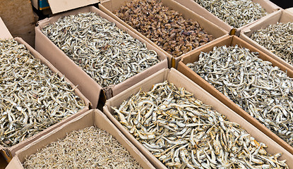 Image showing Dried small anchovy fish