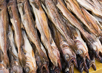 Image showing Dry salty fish