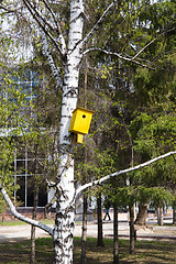 Image showing Birdhouse