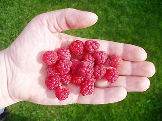 Image showing Raspberry