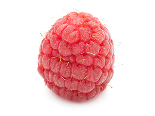 Image showing Fresh raspberry