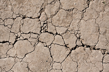 Image showing Dry land