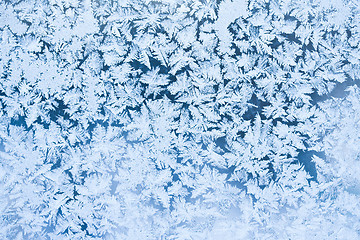 Image showing Frost pattern