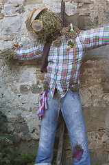 Image showing Scarecrow