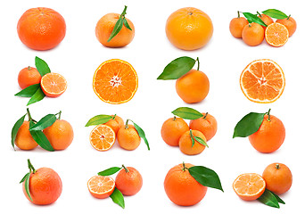 Image showing Mandarins