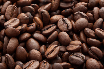 Image showing Coffee beans