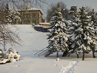 Image showing Winter time - beauty in nature