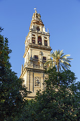 Image showing Minaret Mosque Cordoba, Spain