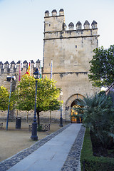 Image showing cordoba royal palaces