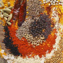 Image showing Curry spices