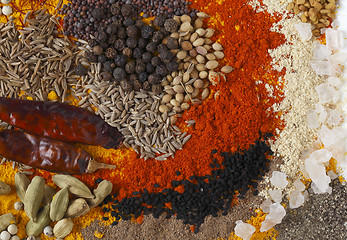 Image showing Curry spices rectangular