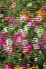 Image showing Background from strips of different colors