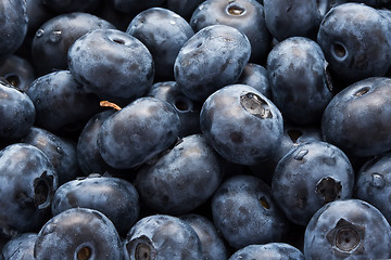 Image showing Blueberries