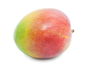 Image showing Mango