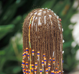 Image showing Hair Braids